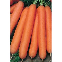 Семена Морковь Детская сладость 1.5 г 